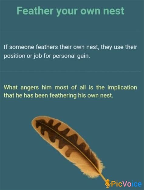 feather your nest meaning|idioms .